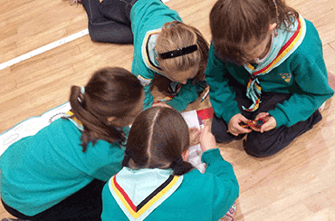 Meeting Activities by Brigins, Cygnets and Guides